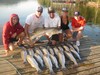 (07/24/2017) - Nice Striped Bass